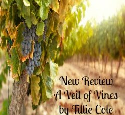 vineyard