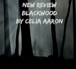 dark woods