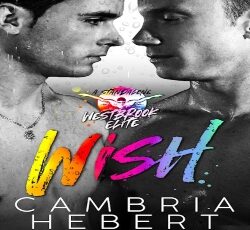 Wish Ebook Cover (2) (1)